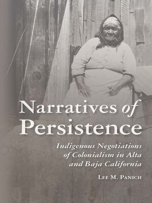 cover image of Narratives of Persistence